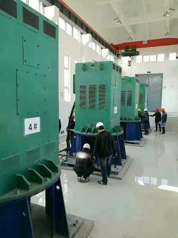 Y4506-4某污水处理厂使用我厂的立式高压电机安装现场