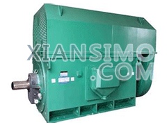 Y4506-4YXKK(2极)高效高压电机技术参数
